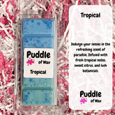 Tropical Wax Melts